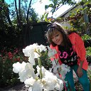 ���� �����, ������ - ��������� 15 �������� 2016 � ������ ���� ����������