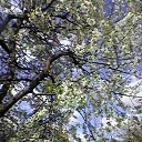 ���� ������, �����, 65 ��� - ��������� 16 ������� 2016