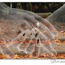 ���� �������, ������, 51 ��� - ��������� 28 ������ 2017 � ������ ������ ��������