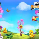 ���� �����, ���� - ��������� 10 ����� 2017 � ������ �������� �������-�������