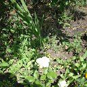 ���� Yusoup, ������, 70 ��� - ��������� 1 ������ 2017 � ������ ���� ����������