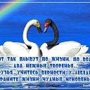 ���� ����, ������������, 58 ��� - ��������� 24 ������� 2016 � ������ ������ ��������