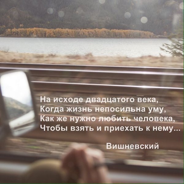   -  ,  -  - 31  2017  15:23