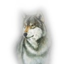 ������� ������ �������� �������������, ����� ������� ���� �� ���������. ��� �� �����. ��� ����� � � ������������, ������� ������ � ����� � ��������.... �� ������� ���� ����������