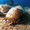 ���� ������, ������ - ��������� 23 ������� 2016 � ������ ����� ��� �������