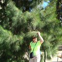 ���� �����, �����-��������� - ��������� 23 ������ 2017 � ������ ���� ����������