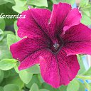 ���� ������, �������-��������� - ��������� 10 ������� 2017 � ������ ����� �����..�