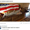 ���� ���, ����������, 41 ��� - ��������� 25 ������ 2016 � ������ ������ ��������
