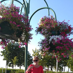 ���� �����, ������, 54 ���� - ��������� 11 ������ 2017