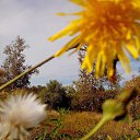 ���� ����, ���������, 67 ��� - ��������� 8 ������ 2016 � ������ ���� ����������