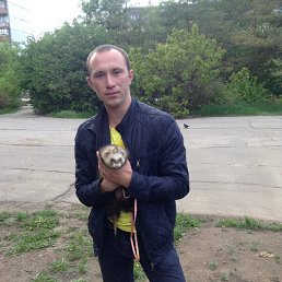 ��������, ���������, 35 ���