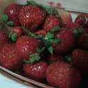 ���� �������, ����� - ��������� 1 ������� 2016 � ������ ���� ����������