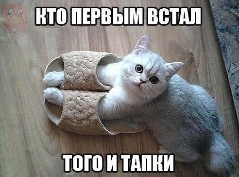 . .  ,      .  . . *** ,   ... - 5