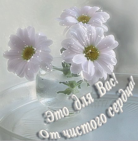 ~Dasha~ - 19  2016  03:07