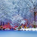 ���� ��������, �������, 41 ��� - ��������� 12 ������� 2017 � ������ ���� ����������