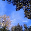 ���� ��������, ��������� - ��������� 7 ������ 2016 � ������ ���������� ������
