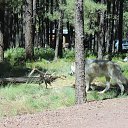 ���� �����, ��������, 48 ��� - ��������� 6 ����� 2017 � ������ ��������� ������� � ������