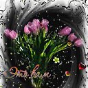 ���� ����, ������, 81 ��� - ��������� 29 ������ 2017 � ������ ���� ����������