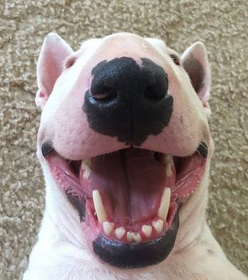   !      ?)    ,    ...