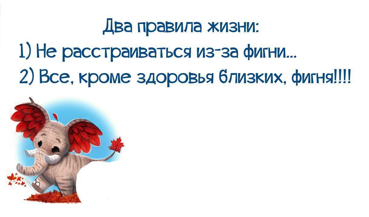 Остальное пустяки. Не расстраивайтесь по пустякам. Два правила жизни не расстраивайся из-за фигни всё. Не расстраивайся из-за мелочей. Не расстраивайся по пустякам.