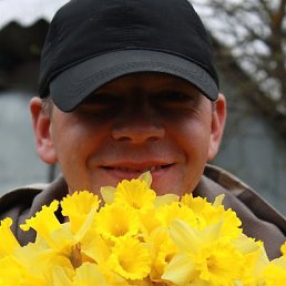 &curren;�����&curren;, ����������