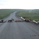 ���� ������, ������, 43 ���� - ��������� 13 ������� 2017