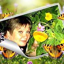 ���� �������, ������ - ��������� 29 ������ 2017 � ������ ���� ����������