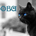 ���� ������, �������, 50 ��� - ��������� 23 �������� 2016 � ������ ���� ����������