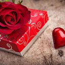 ���� Mohamed, �����-���������, 35 ��� - ��������� 27 ������� 2017 � ������ ���� ����������