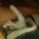 ���� ���������, ���������, 29 ��� - ��������� 29 ������ 2016 � ������ ������ ��������