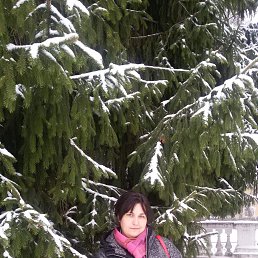 ���� �������, ������, 52 ���� - ��������� 5 ������ 2016