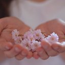 ���� ��������, �����-���������, 45 ��� - ��������� 11 ������� 2016 � ������ ������ ��������