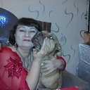 ���� ����, ������, 67 ��� - ��������� 19 ������ 2017 � ������ ���� ����������