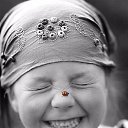 ���� ���������, ������ - ��������� 28 ������ 2016 � ������ �������� ��������