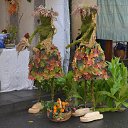 ���� Kazimieras, ����� - ��������� 29 �������� 2016 � ������ ���� ����������