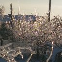 ���� ������, ������, 54 ���� - ��������� 15 ������ 2016 � ������ �������� ������