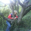 ���� �����, ���������� - ��������� 22 ������ 2017 � ������ ���� ����������