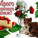 ���� Tatiana, ����������� - ��������� 26 ����� 2017 � ������ ������ ��������