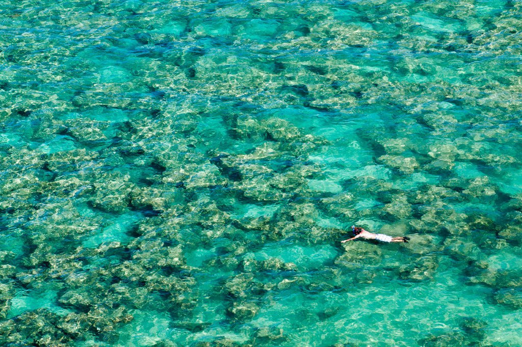   -     .  (Hanauma Bay)   