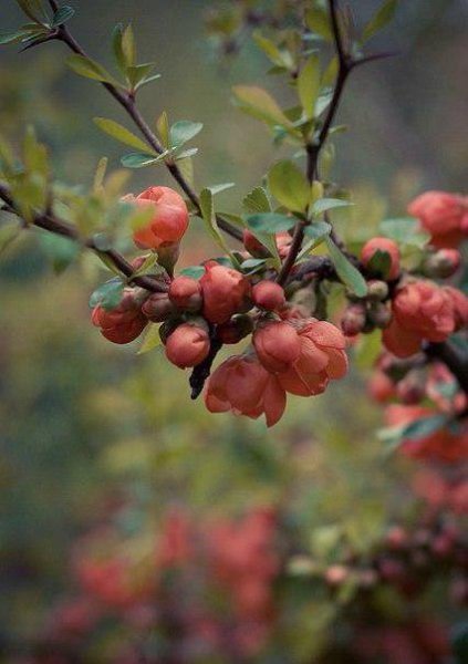 Что бы ни случилось – верь в себя, верь в жизнь, верь в завтрашний день, верь во все, что ты ... - 5