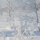 ���� ����, ������ - ��������� 14 ������� 2016 � ������ ��� ���Ż