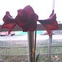 ���� ����, ���������, 58 ��� - ��������� 24 ������� 2017 � ������ ���� ����������