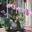 ���� Faina, ���������� - ��������� 14 �������� 2016 � ������ ���� ������� ������