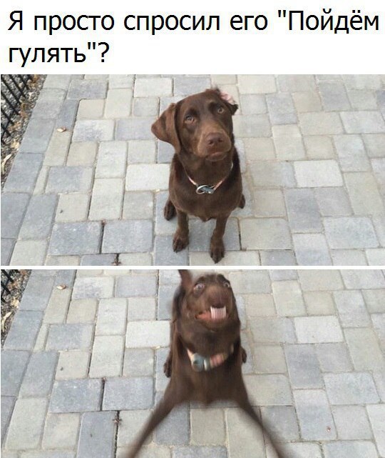    :D - 12  2017  22:34