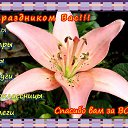 ���� Dmitriy, ���������������, 37 ��� - ��������� 7 ����� 2017 � ������ ������ ��������