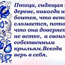 ���� �����, ���� - ��������� 5 ������ 2017 � ������ ������ ��������