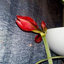 ���� ���������, �����-���������, 64 ���� - ��������� 29 �������� 2016 � ������ ���� �������� ����� !�