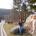 ���� �������, ����������, 54 ���� - ��������� 19 ����� 2017