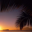  Karen, , 53  -  8  2017    