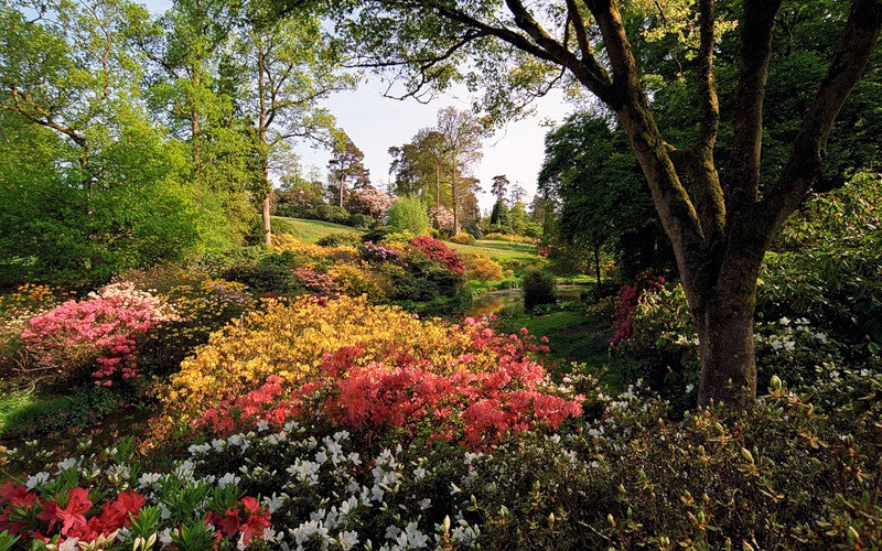 ))). Leonardslee Gardens (  ) , Horsham, West Sussex    ... - 4